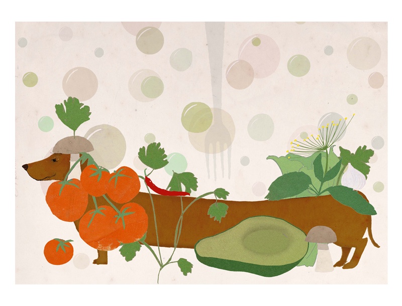 Bubbledogs of London