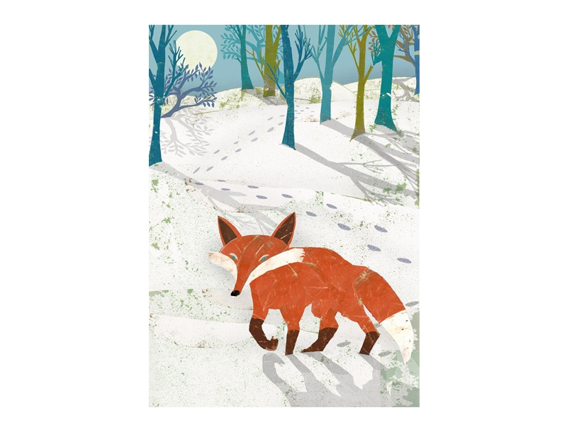 Snow Fox