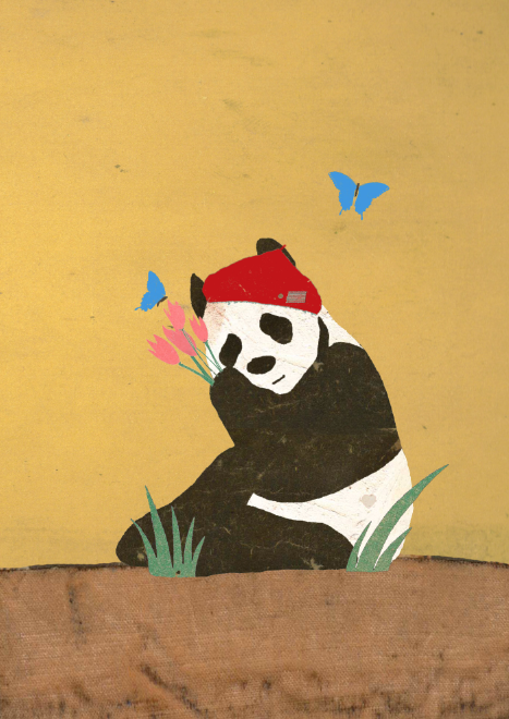 Lagom, Panda