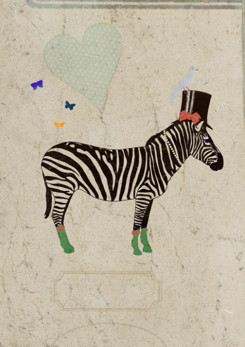Lagom, Zebra