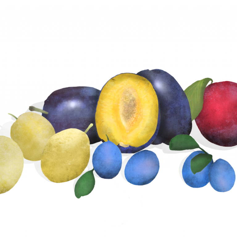 Waitrose, Regal & Stone Fruits