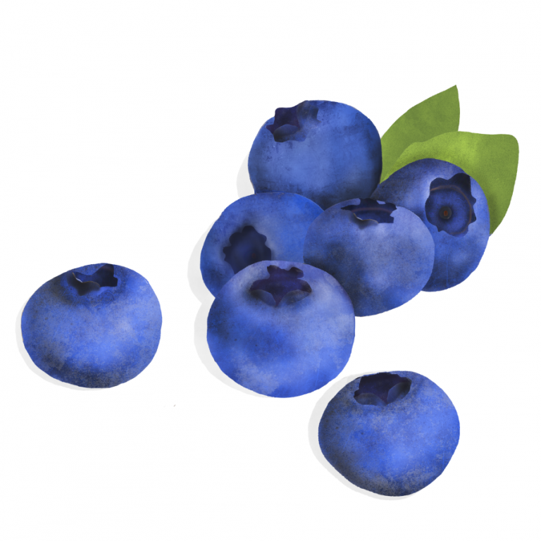 Waitrose, Blueberries